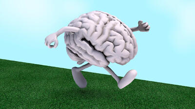 ساده‌ترین راه‌های فعال نگه‌داشتن حافظه و دوری از آلزایمر/ تقویت کننده‌های بافت مغز کدامند؟/ در انجام ورزش‌های فکری جدی باشید