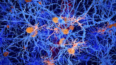 درمانی نوآورانه برای صرع که حافظه را بازیابی و از تشنج جلوگیری می‌کند