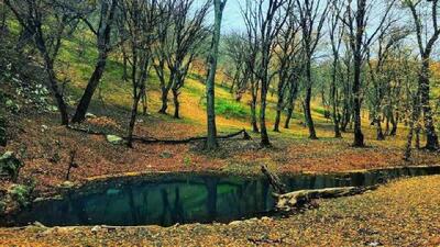 احراز شهادت محیط‌بانان پارک ملی گلستان