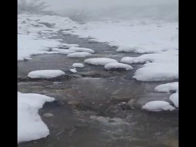 بارش برف در منطقه کوهستانی سرتنگه سوادکوه