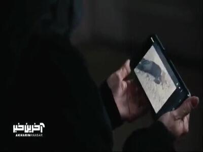  با این شماره شاید بشه ردی از مهیار زد!