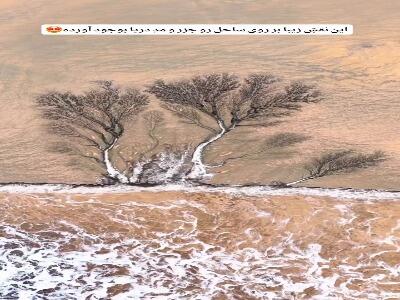  نقاشی دریا روی ساحل