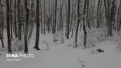 افزایش ۱۱ درصدی آمار بارش در کنار تداوم خشکسالی
