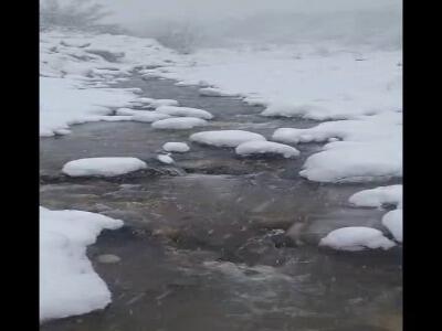  بارش برف در منطقه کوهستانی سرتنگه سوادکوه