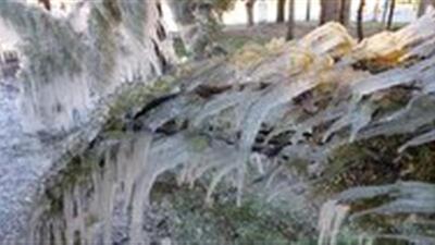  کاهش شدت سرما و یخبندان در زنجان از فردا