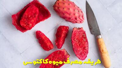  طریقه مصرف میوه کاکتوس | چگونه تیغ های میوه کاکتوس را بگیریم؟
