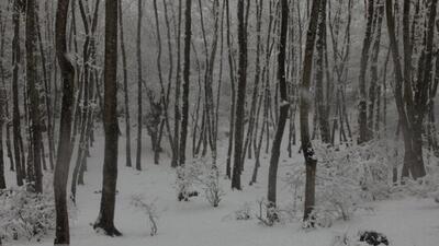 افزایش ۱۱ درصدی آمار بارش در کنار تداوم خشکسالی