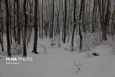 ایران در بحران کم‌آبی؛ بارش‌ها ۱۱ درصد افزایش یافت اما تهران کم‌بارش‌ترین استان شد/ خشکسالی شدید در کشور؛ افزایش بارش‌ها نتوانست تهران را نجات دهد