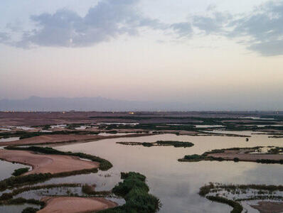 تالاب پساب یزد؛ گنجی رهاشده در کویر