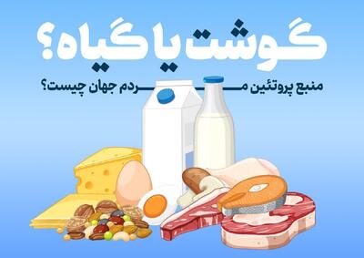  منبع پروتئین مردم جهان از کجاست؟ مقایسه قاره‌ها در یک نگاه (اینفوگرافیک)