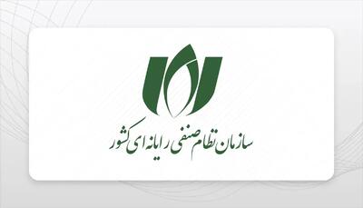 هشدار نظام صنفی رایانه به دولت: امنیت شبکه کشور آسیب پذیر است
