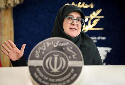 ژست خاص سخنگوی دولت در حیاط پاستور