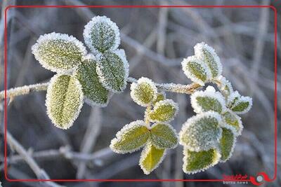 سردترین شب ایران در تکاب و سقز ثبت شد