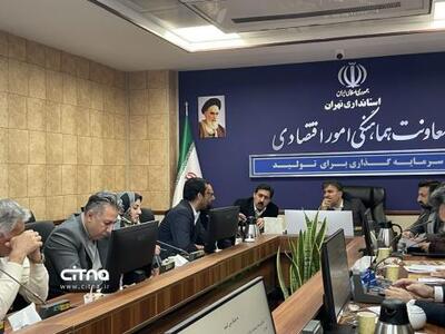 تأکید بر ضرورت راه‌اندازی پارک کارآفرینان و دانشگاه کارآفرینی نسل پنجم مبتنی بر هوش مصنوعی