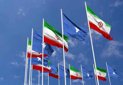  سومالی از ایران قدردانی کرد