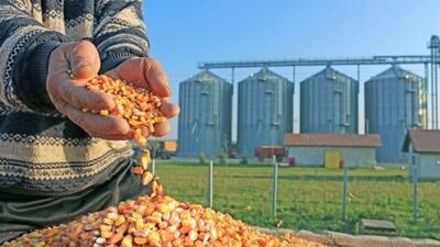 افزایش برخوردها با فساد «پشت‌فاکتوری‌» در سامانه بازارگاه