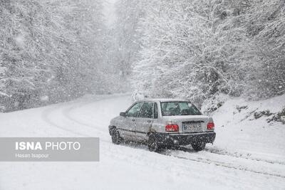 تصاویر: بارش برف زمستانی سوادکوه - مازندران