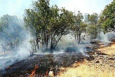 جزئیات آتش‌سوزی جنگل‌های گیلان؛ از خاله‌سرای تالش تا امامزاده هاشم