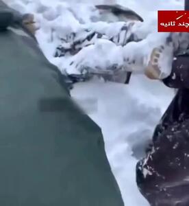 ببینید| لحظه پیدا شدن شهید مرزبان کهگیلویه و بویراحمدی رحیم مجیدی