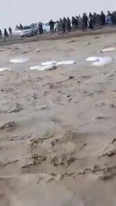 واژگونی کامیون بر اثر سیلاب در جاده هرات-قندهار