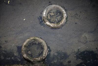 تصاویر؛ خورهای بندرعباس؛ زایشگاه پشه آئدس