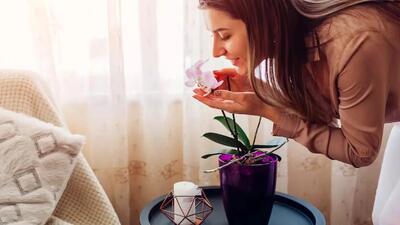  چگونه به روش طبیعی خوش‌بو بمانیم؟ / 11 توصیه کلیدی