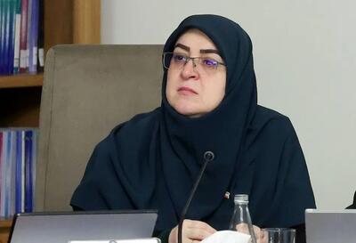 سخنگوی دولت: می‌دانیم فشار اقتصادی مردم را تحت آزار قرار داده است