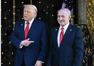 خواب های فلوریدا