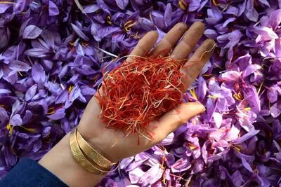 پرسودترین گیاه دارویی برای صادرات + معرفی 5 گیاه پرسود صادراتی