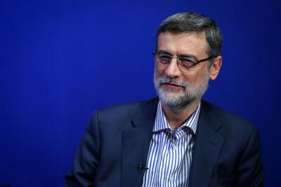 قاضی‌زاده هاشمی: شرایط امروز نتیجه تفکر سریع القلم‌هاست