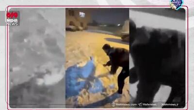  برف بازی بازیکنان تیم فوتبال تراکتور + فیلم