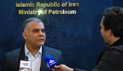  مشارکت پتروشیمی‌ها در توسعه میادین گازی، کلید تأمین پایدار خوراک