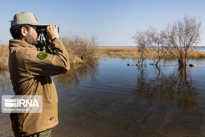 بازطراحی رشته دیپلم محیط‌بانی/ گامی نو برای تربیت محیط‌بانان آینده
