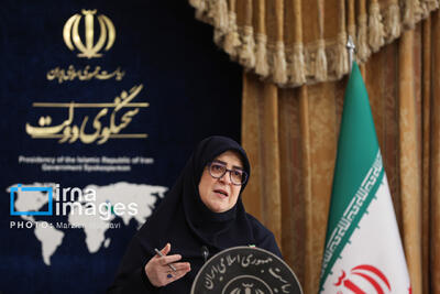 سخنگوی دولت: همتی با نظر خبرگان بانکی رئیس بانک مرکزی شد