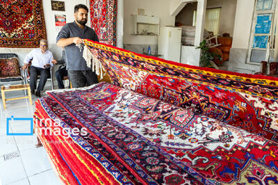 گره‌های کور بر تار و پود فرش ایلام