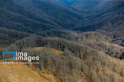 کارگروه‌های استانی با محوریت سازمان محیط‌زیست تشکیل می‌شود