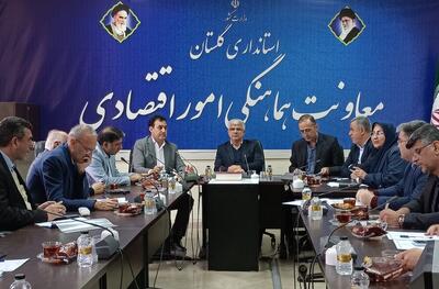  معاون استاندار: انتظار داریم سهم گلستان، به‌صورت منصفانه افزایش یابد