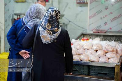 توقف توزیع نهاده در بازارگاه؛ تولید مرغ به بن‌بست رسید