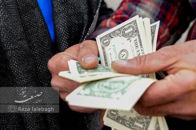 با ریاست همتی؛ ارز تک‌نرخی یک گام نزدیک‌تر شد