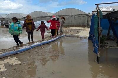  ادامه نقض آتش بس در غزه؛ سه شهید بر اثر سرمای شدید