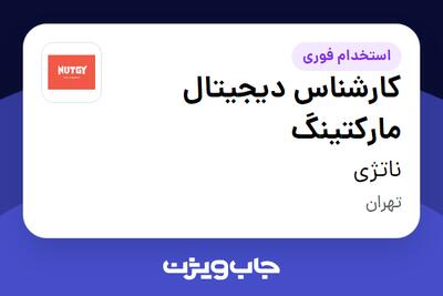  استخدام کارشناس دیجیتال مارکتینگ در ناتژی
