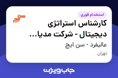  استخدام کارشناس استراتژی دیجیتال - شرکت مدیا تبلیغ - خانم در عالیفرد - سن ایچ