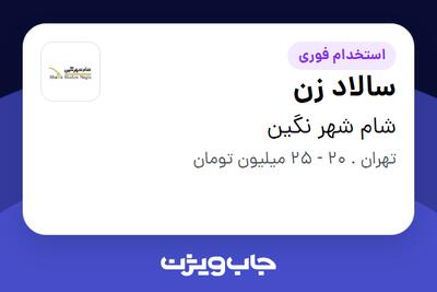  استخدام سالاد زن در شام شهر نگین