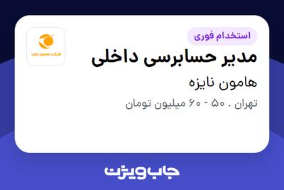  استخدام مدیر حسابرسی داخلی در هامون نایزه