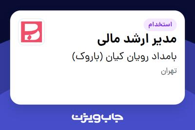  استخدام مدیر ارشد مالی در بامداد رویان کیان (باروک)