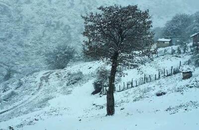 چرا رنگ برف سفید است؟