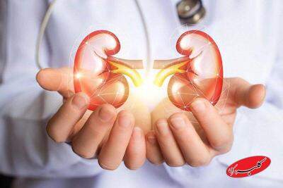  غذاهایی برای فیلتر کردن کلیه‌ها - کلبه سرگرمی