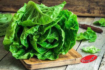  بالاخره چه قسمتی از کاهو نیترات بیشتری دارد؟/ آیا باید از نیترات کاهو ترسید؟/ این سبزی مشهورترین خواب‌آور طبیعی است - کلبه سرگرمی