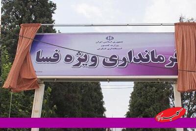  واکنش منبع آگاه به ادعای کشته شدن یک نفر در حمله به فرمانداری فسا - کلبه سرگرمی