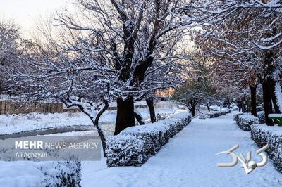 هشدار نارنجی در استان سمنان؛ هم‌نشینی برف، کولاک و یخ‌بندان - مجله اینترنتی کولاک